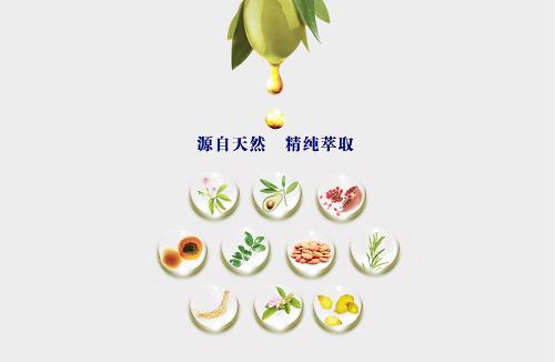 Bilberry Extract